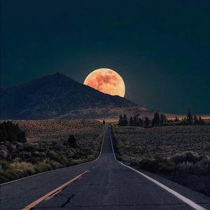 Meet your Posher, Jake